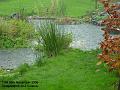 2006-1125pond